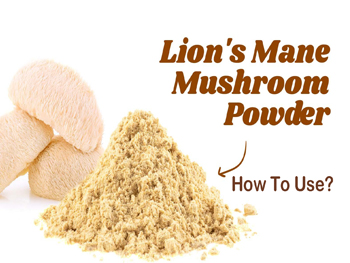 How To Use Lion's Mane Mushroom Powder？